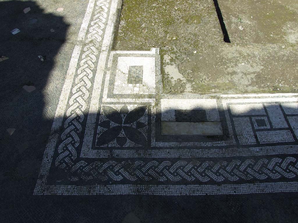 V.1.26 Pompeii. March 2009. Room “b”, mosaic edge around impluvium in south-west corner.