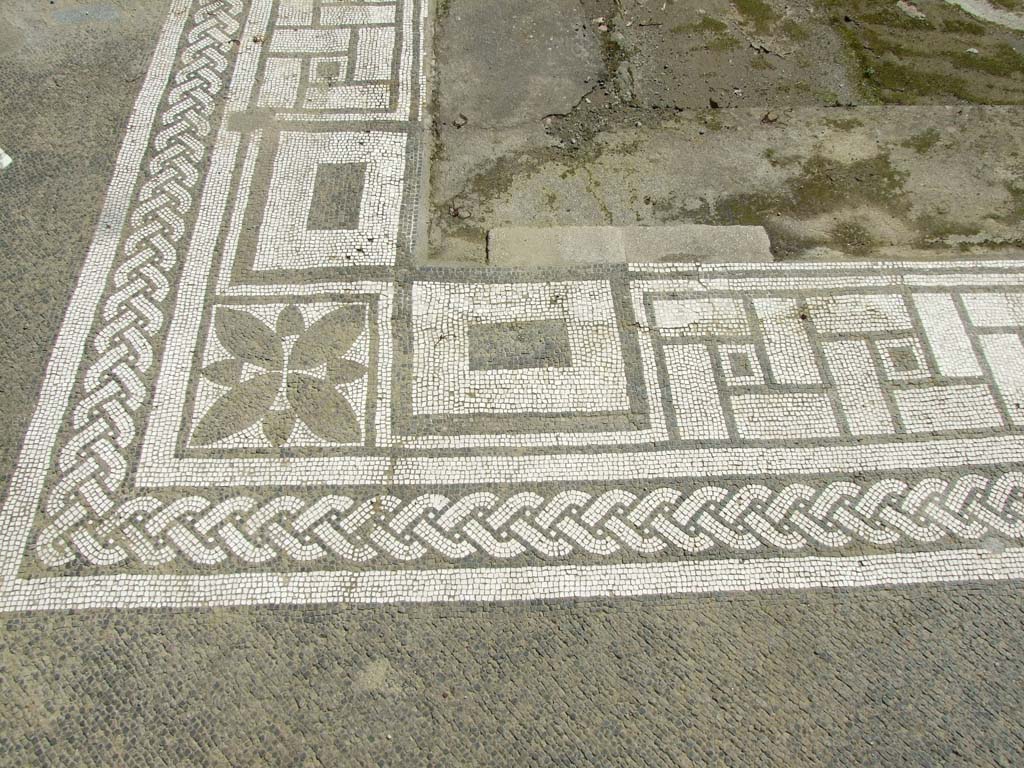 V.1.26 Pompeii. March 2009. Room “b”, mosaic edge around impluvium.