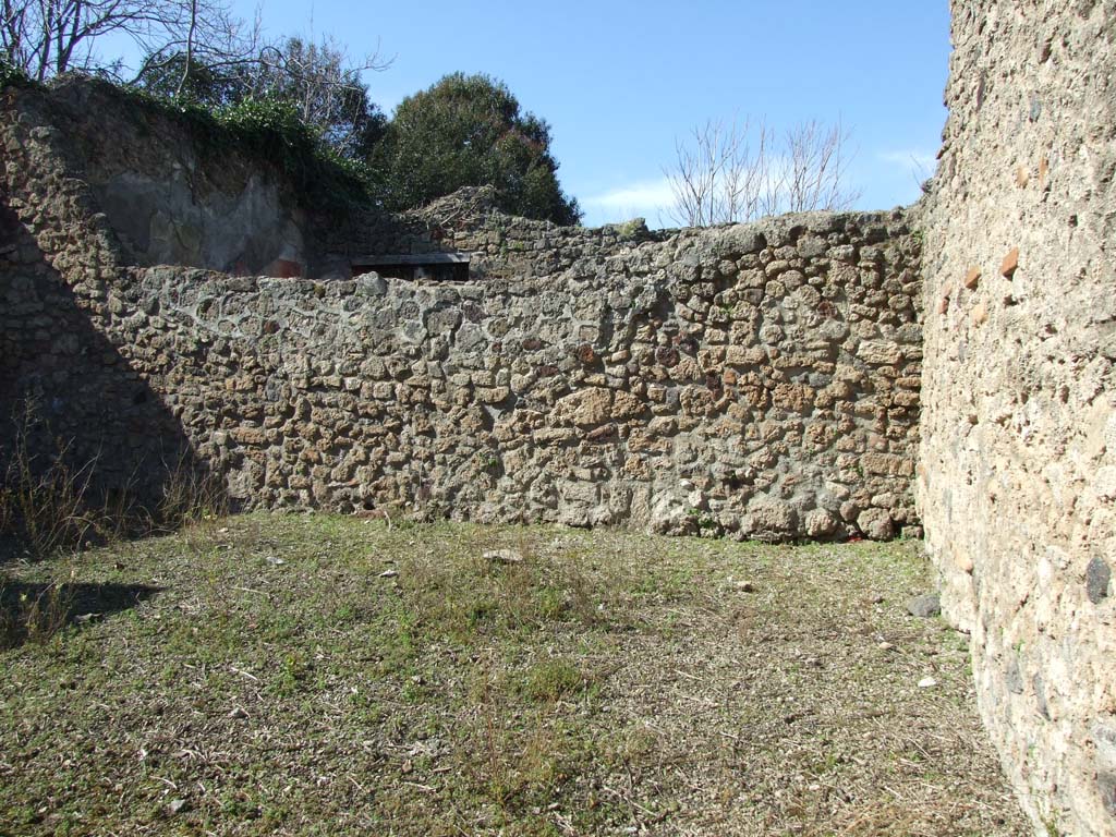 V.3.8 Pompeii. March 2009. North wall in garden (b).