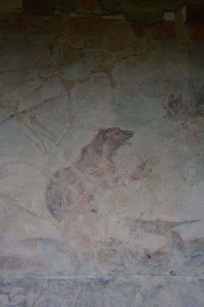 V.4.a Pompeii. March 2018. Room ‘l’ (L), detail of bear from north wall at west end.            
Foto Annette Haug, ERC Grant 681269 DÉCOR
