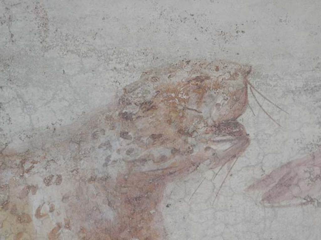 V.4.a Pompeii. May 2015. Detail of large spotted predatory cat on the north wall of the garden.  Photo courtesy of Buzz Ferebee.
