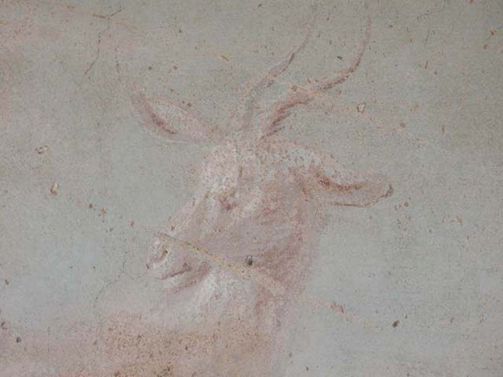 V.4.a Pompeii. May 2015. Detail of head of goat from north wall of the garden. Photo courtesy of Buzz Ferebee.