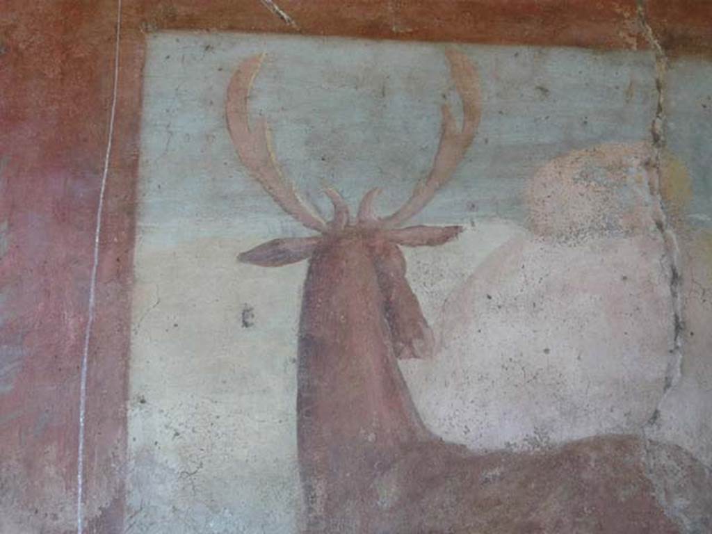 V.4.a Pompeii. May 2012. Close-up of a stag with full antlers seen from behind on the north wall of the garden.
Photo courtesy of Buzz Ferebee.
