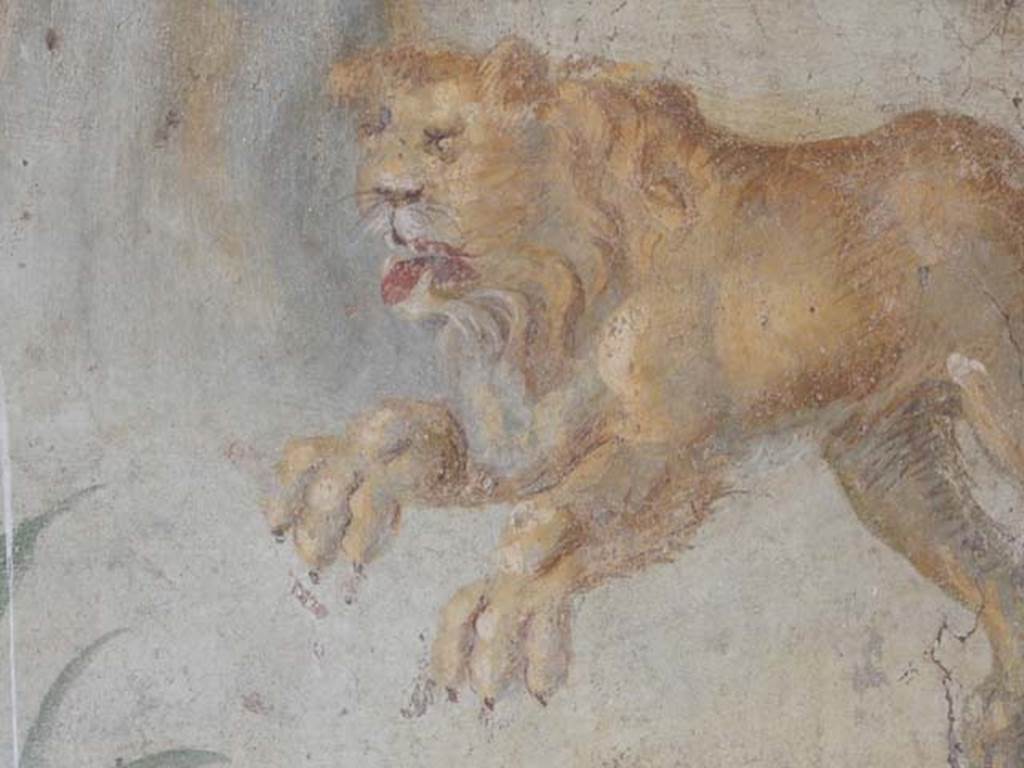 V.4.a Pompeii. May 2015. North wall of the garden, far right corner.
Detail of a large female lioness springing to the left. Photo courtesy of Buzz Ferebee.
