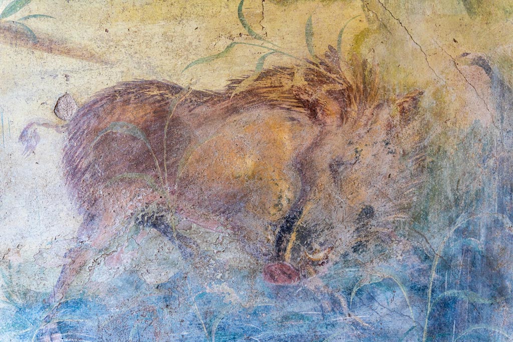 V.4.a Pompeii. October 2023. Detail of painted wild boar from east end of north wall. Photo courtesy of Johannes Eber.