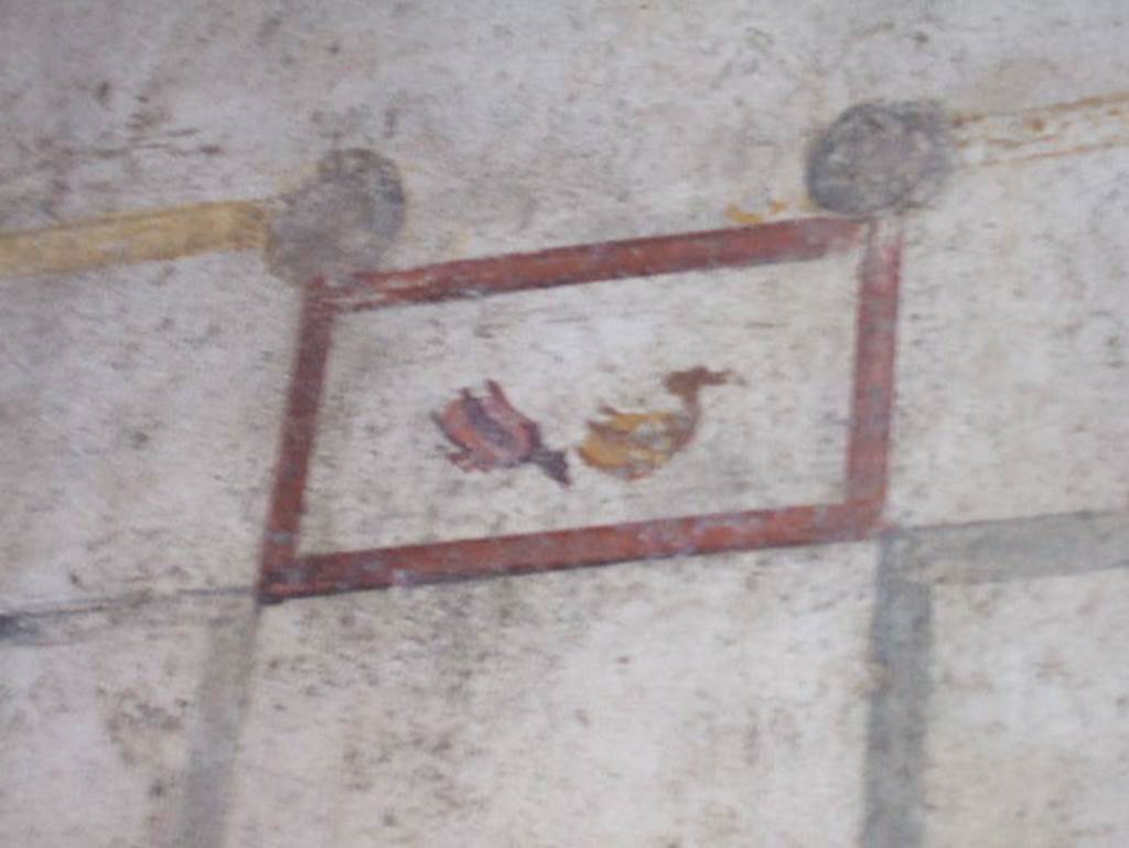 V.4.a Pompeii. May 2006. Summer triclinium, wall painting of birds on upper north end of east wall.