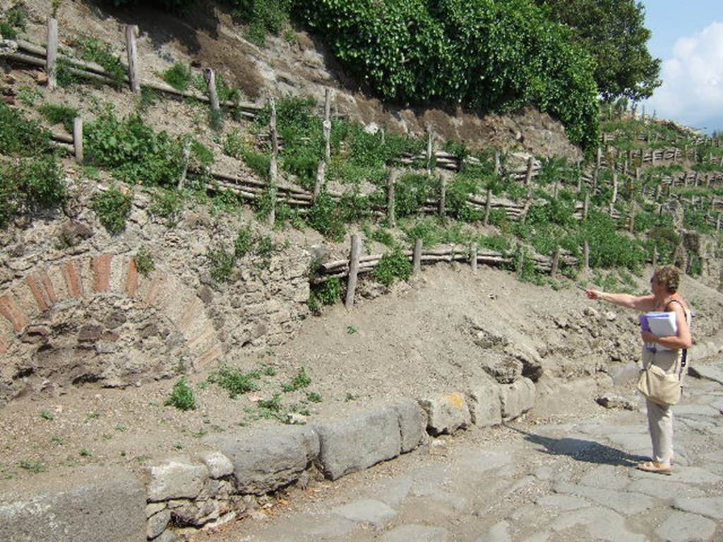 V.6.6 Pompeii, (on right). May 2006. Unexcavated façade/boundary wall.