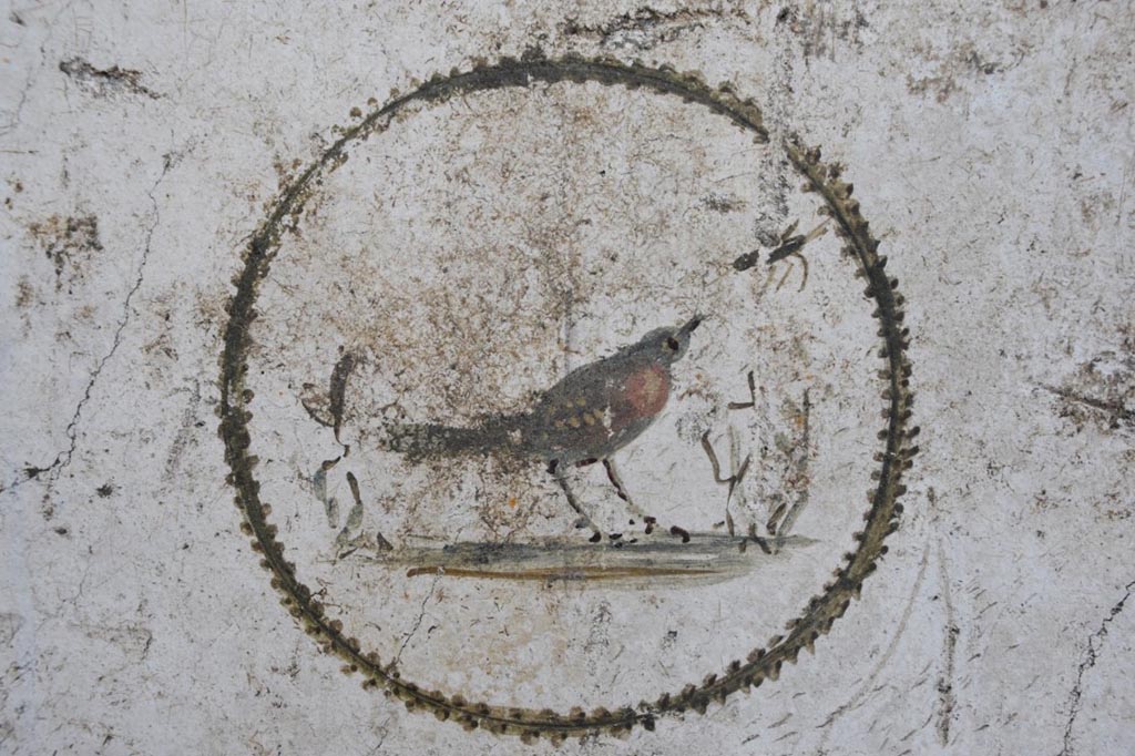 V.6.12 Pompeii. March 2024. Amb. 44. Portrait medallion with a bird.
Photograph © Parco Archeologico di Pompei.
