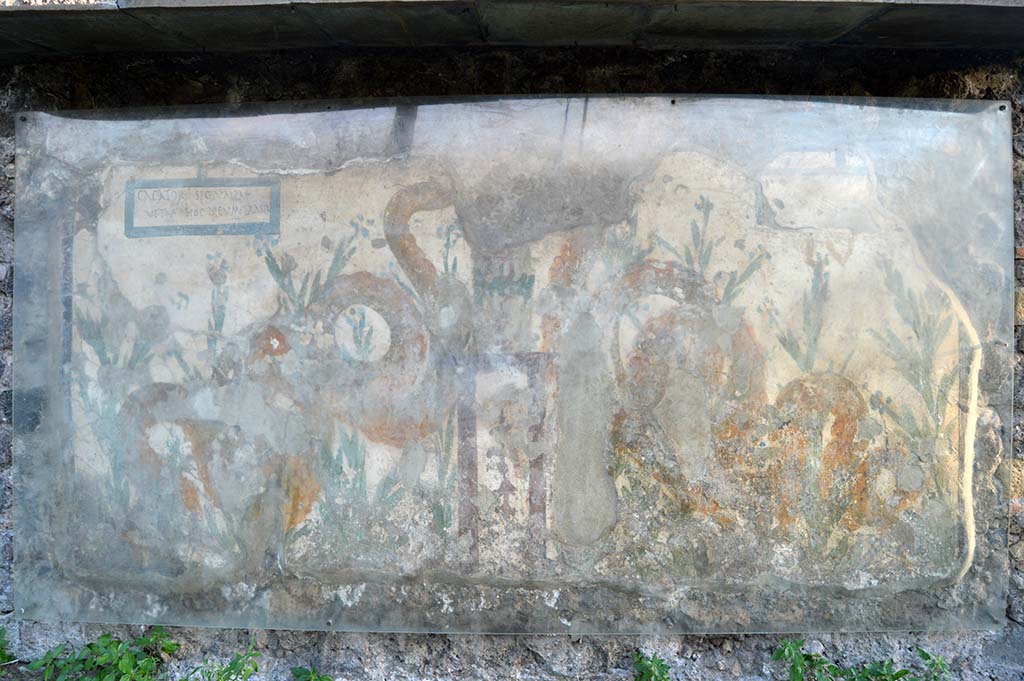 V.6.19 Pompeii. May 2015. Painted lararium on exterior wall. Photo courtesy of Buzz Ferebee.

