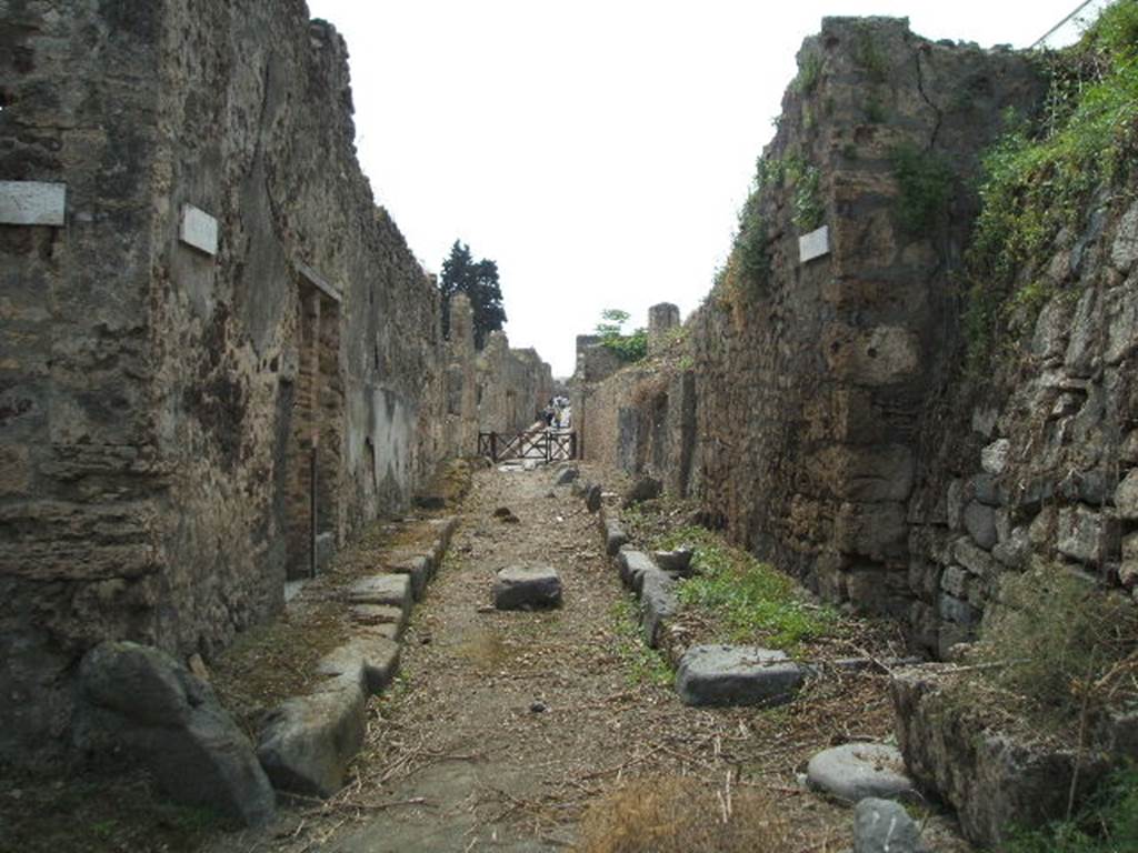 Pompeii. May 2005. Blocked vicolo, north from Via delle Nozze d’Argento, at the time unexcavated.
This was partially excavated in 2018/9 and now forms a continuation of the Vicolo di Cecilio Giocondo.
