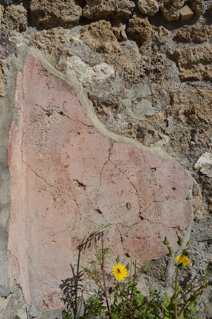 VI.1.5 Pompeii. March 2019. Wall on Via Consolare on north side of entrance doorway, with remaining painted stucco.
Foto Taylor Lauritsen, ERC Grant 681269 DÉCOR.

