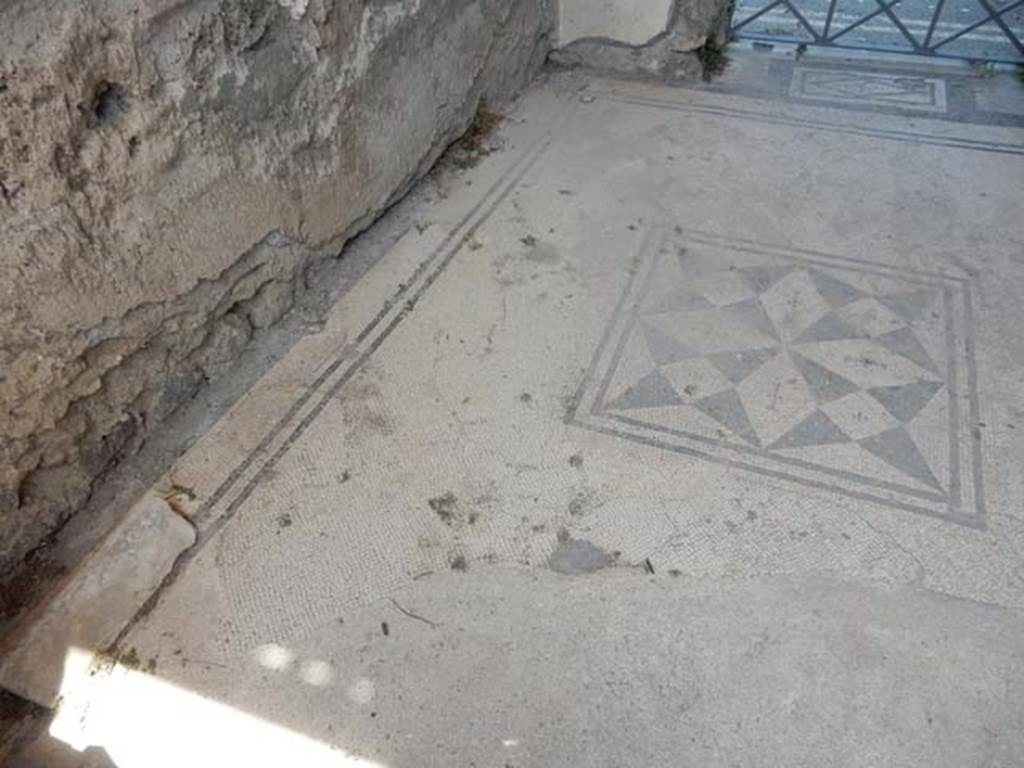 VI.1.8 Pompeii. May 2017. North side of white flooring with central mosaic. Photo courtesy of Buzz Ferebee.
