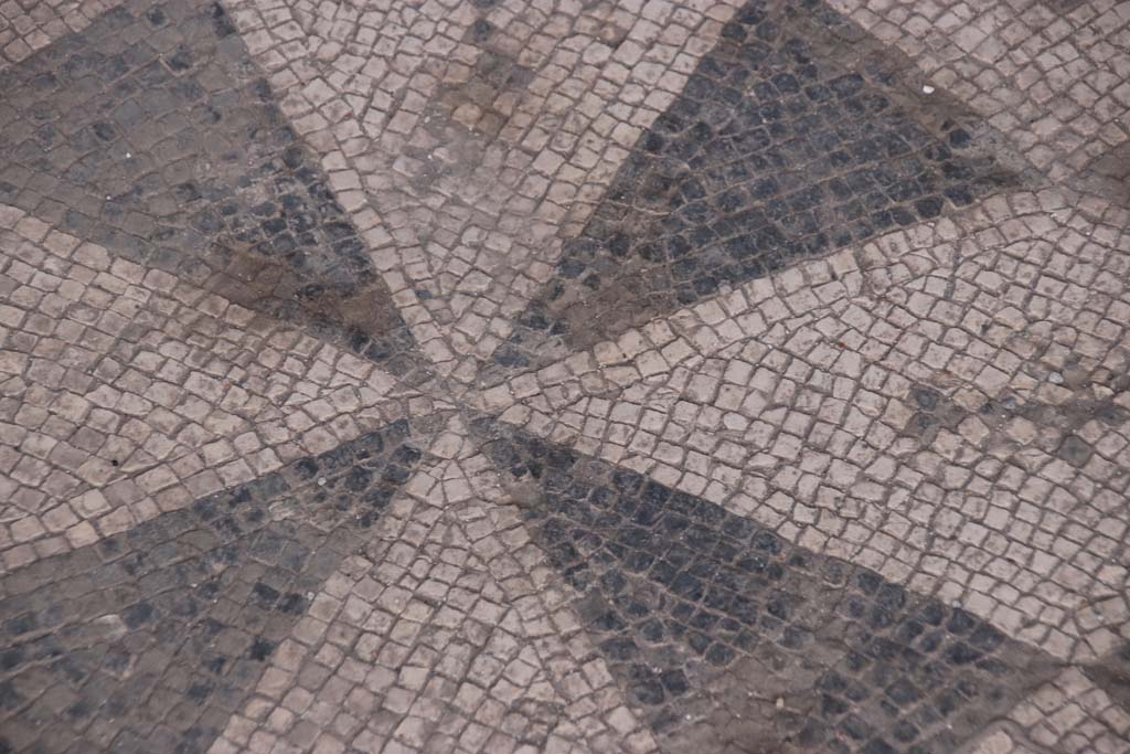 VI.1.8 Pompeii. September 2021. Detail from centre of square emblema. Photo courtesy of Klaus Heese.