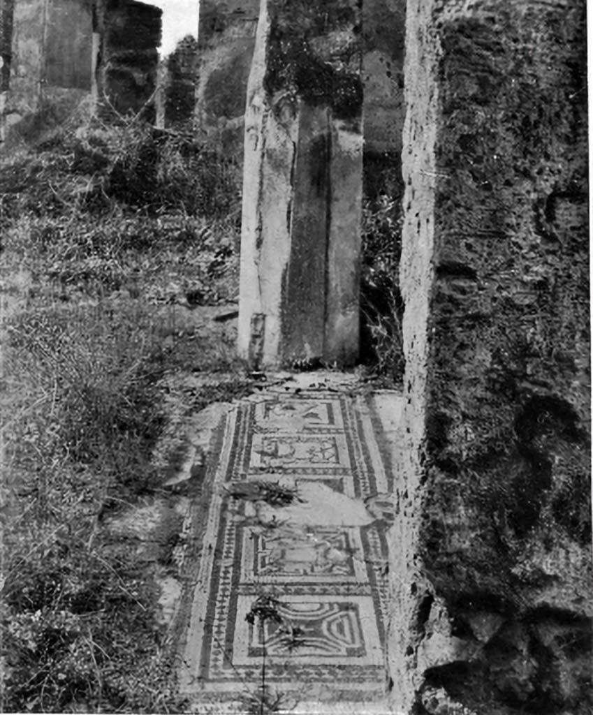 VI.1.10 Pompeii. 1937-39. Room 4, detail from mosaic floor in ala on north side of atrium.  Photo courtesy of American Academy in Rome, Photographic Archive. 
Warsher collection no. 928
