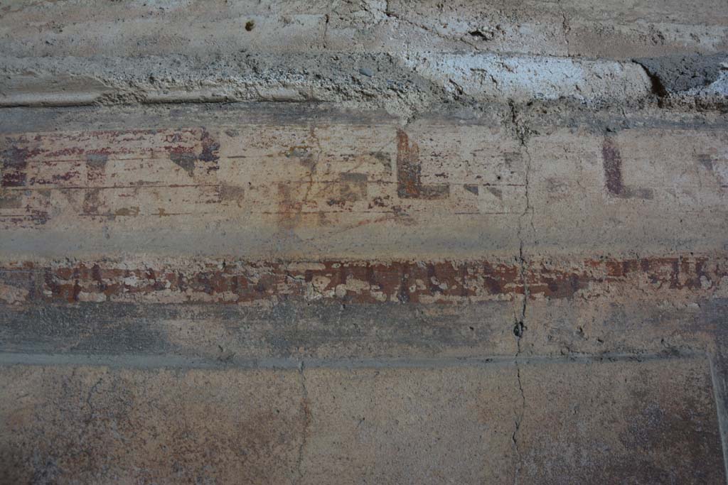 VI.2.4 Pompeii. March 2019. Detail of painted decoration from area above zoccolo in centre on north wall of oecus.
Foto Annette Haug, ERC Grant 681269 DÉCOR.

