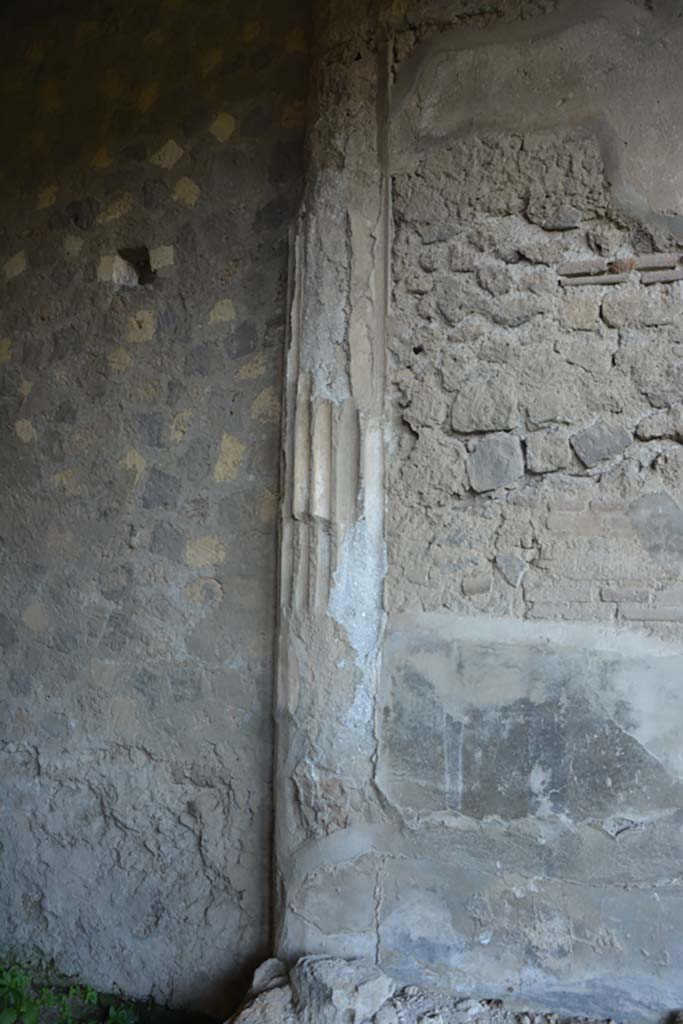 VI.2.4 Pompeii. March 2019. 
Detail from north wall of outer small room in north-west corner, near summer triclinium. 
Foto Annette Haug, ERC Grant 681269 DÉCOR.

