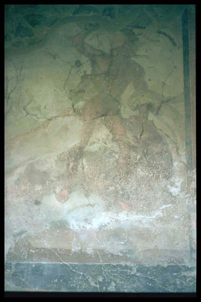 VI.2.4 Pompeii. Garden. Wall painting of Acteon.
Photographed 1970-79 by Günther Einhorn, picture courtesy of his son Ralf Einhorn.
