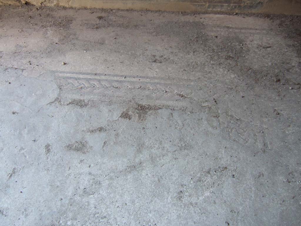 VI.2.14 Pompeii. September 2005. Mosaic floor in triclinium.