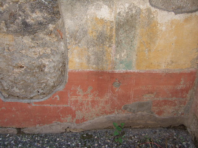 VI.2.22 Pompeii. September 2005. Cubiculum on south side of entrance doorway. 
Painted wall decoration from south wall of cubiculum, with red zoccolo , yellow middle zone and white upper area. In the zoccolo were panels surrounded by “carpet” borders and separated by narrow panels with plants. In the middle of the zoccolo was a panel with painted sea animals, which can just be seen, centre left, under the missing plaster.

