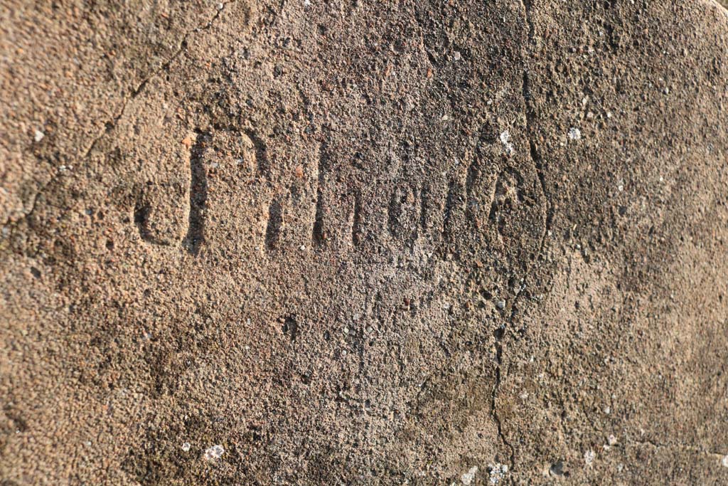 VI.2.29 Pompeii. December 2018. Inscription in plaster on south wall. Photo courtesy of Aude Durand.