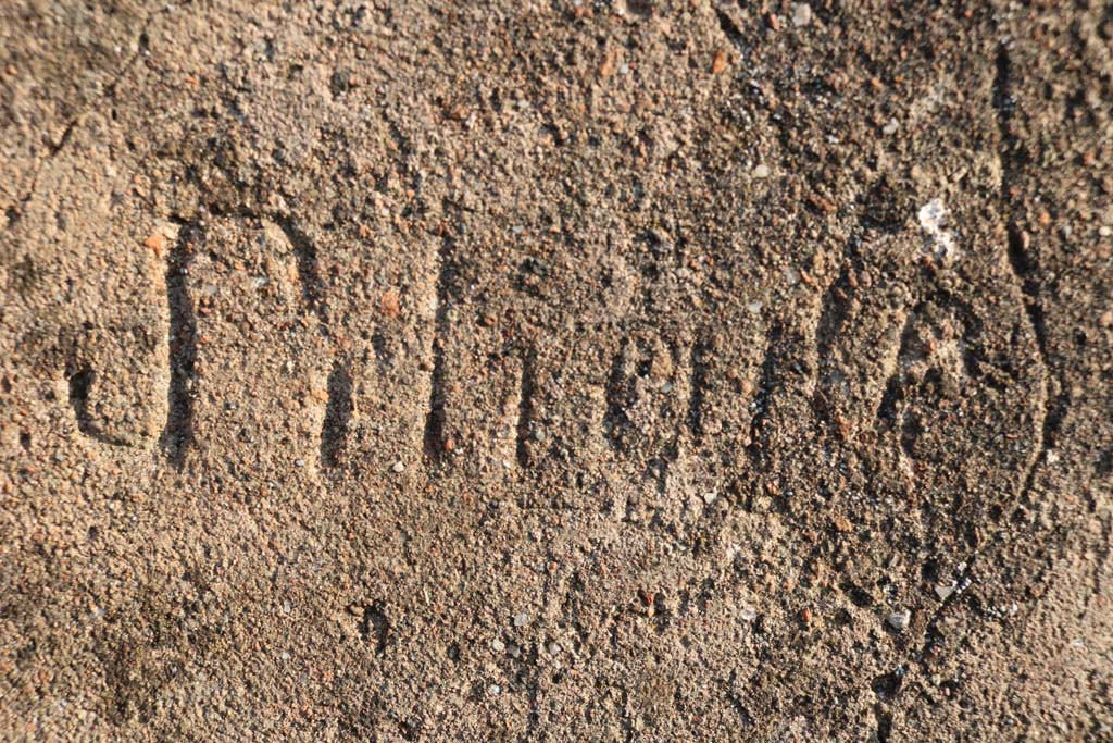 VI.2.29 Pompeii. December 2018. Detailed enlargement of inscription in plaster on south wall. Photo courtesy of Aude Durand.