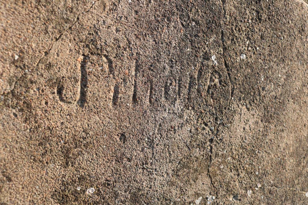 VI.2.29 Pompeii. December 2018. Inscription in plaster on south wall of room 4. Photo courtesy of Aude Durand.