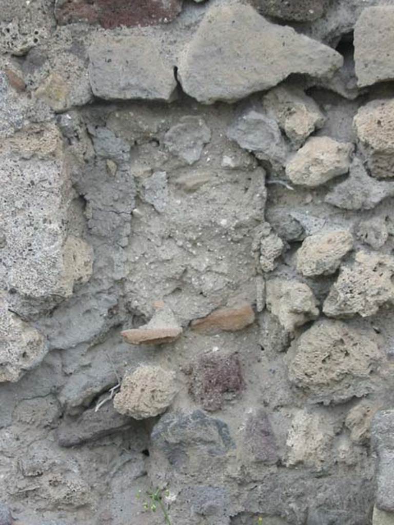 VI.4.9 Pompeii. May 2003. Detail from the north wall of rear room. Photo courtesy of Nicolas Monteix.