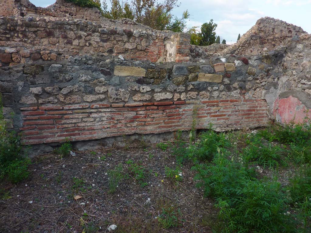 VI.5.9 Pompeii. November 2021. Looking towards north wall in triclinium. Photo courtesy of Hlne Dessales.