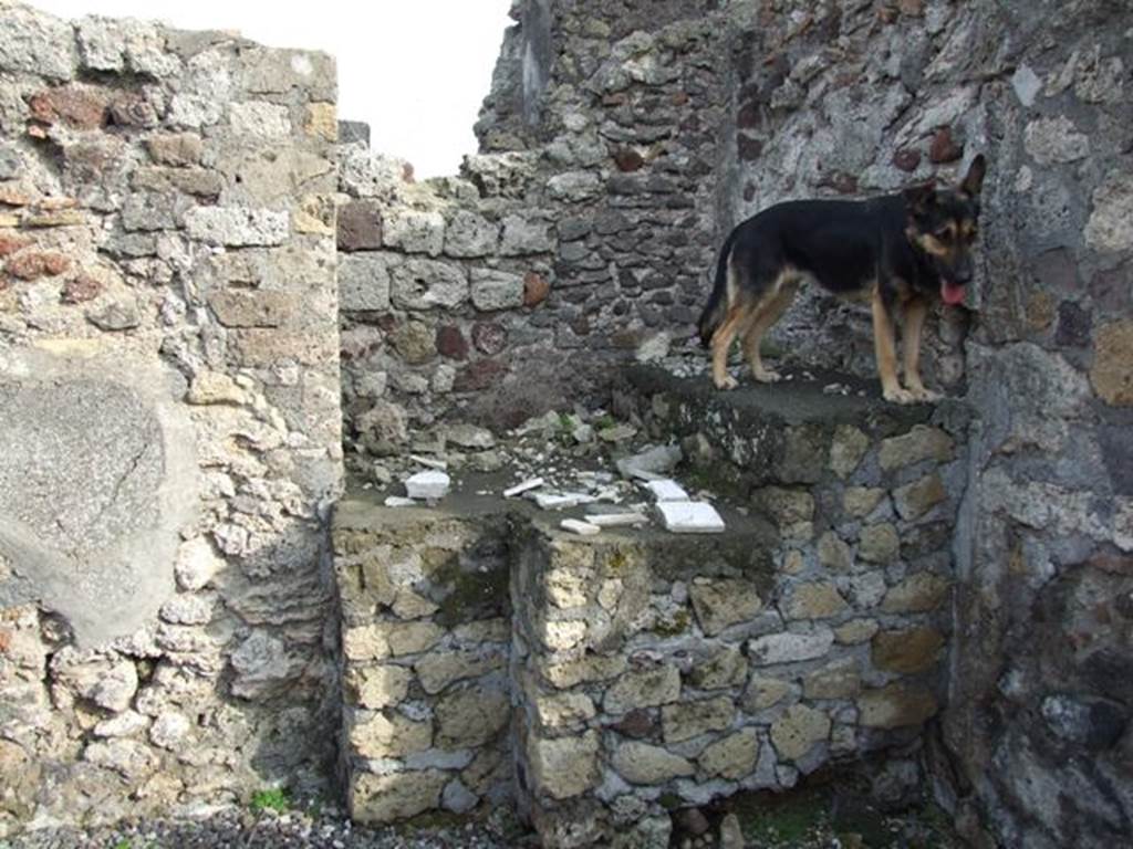 VI.5.10 Pompeii. December 2007. Room 16, south-east corner, with dog Sheila our faithful companion who followed us closely.