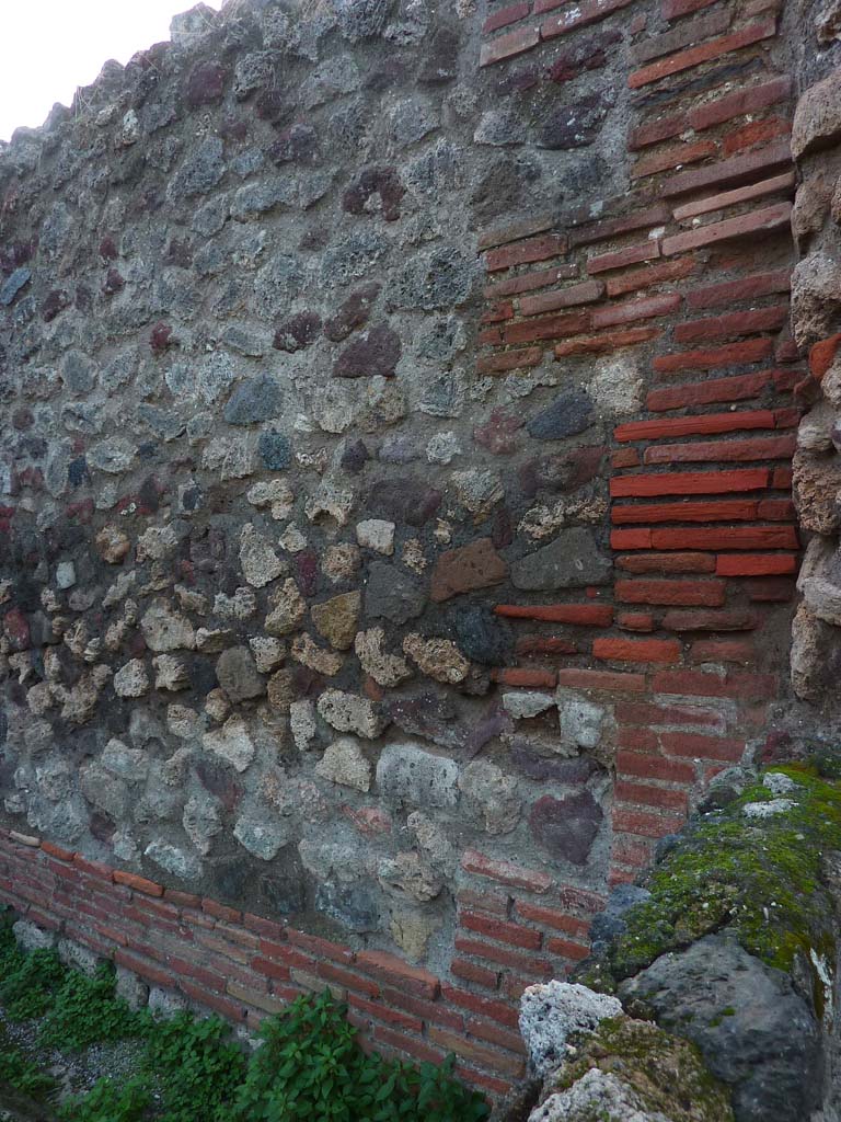 VI.5.10 Pompeii. November 2021. 
West wall of peristyle, at north end near entrance doorway. Photo courtesy of Hélène Dessales.
