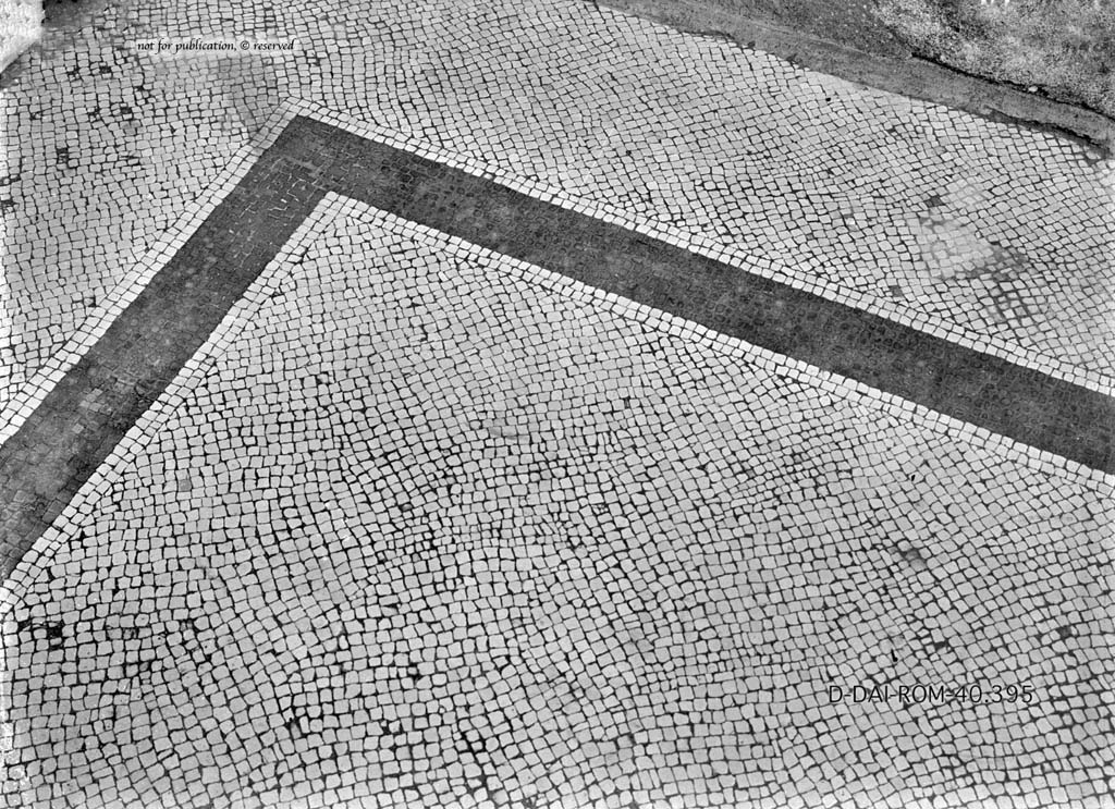 VI.6.1 Pompeii. c.1930. Room 6, detail of mosaic flooring in atrium
DAIR 40.395. Photo © Deutsches Archäologisches Institut, Abteilung Rom, Arkiv.
See Pernice, E.  1938. Pavimente und Figürliche Mosaiken: Die Hellenistische Kunst in Pompeji, Band VI. Berlin: de Gruyter, (taf. 15,5).
