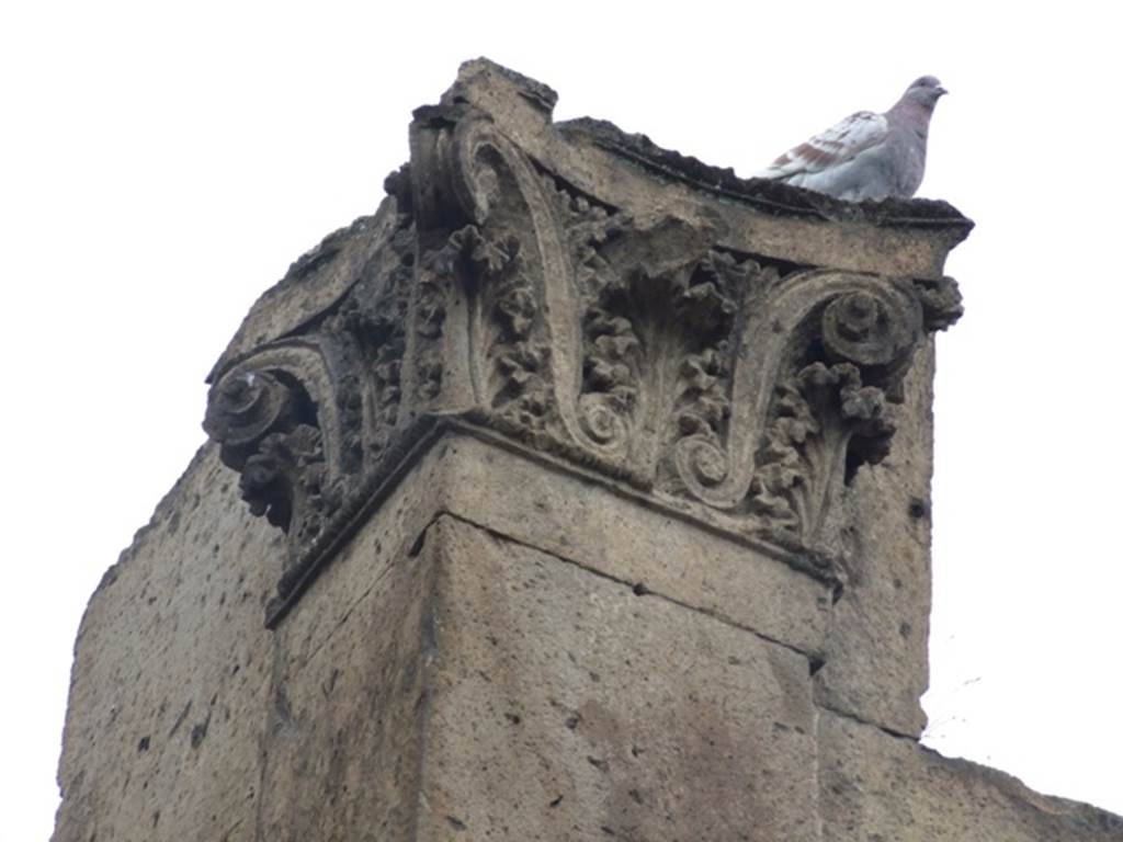 VI.6.1 Pompeii. December 2007. Eastern entrance capital, with pigeon (not made of stone!).
