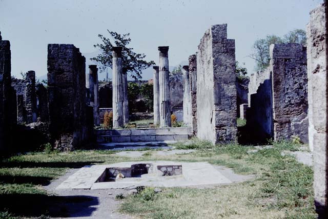 VI.6.1 Pompeii. 1968. Looking north across atrium to peristyle. Photo by Stanley A. Jashemski.
Source: The Wilhelmina and Stanley A. Jashemski archive in the University of Maryland Library, Special Collections (See collection page) and made available under the Creative Commons Attribution-Non Commercial License v.4. See Licence and use details.
J68f1975

