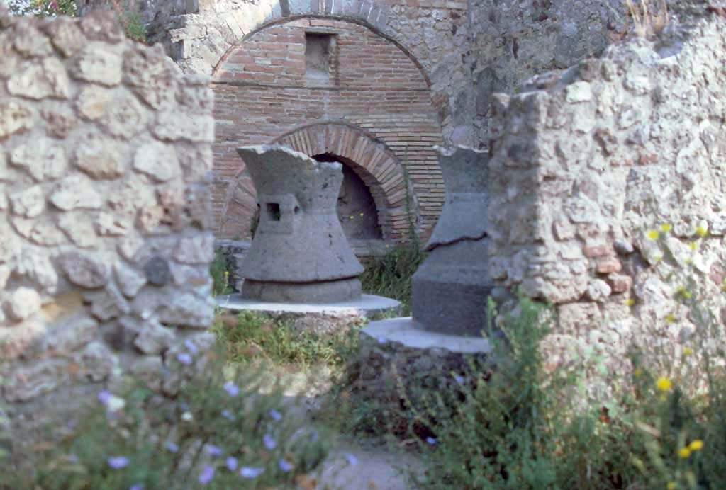 VI.6.17 Pompeii. August 1976. Looking through doorway to bakery in north wall of entrance room. 
Photo courtesy of Rick Bauer, from Dr George Fay’s slides collection.
