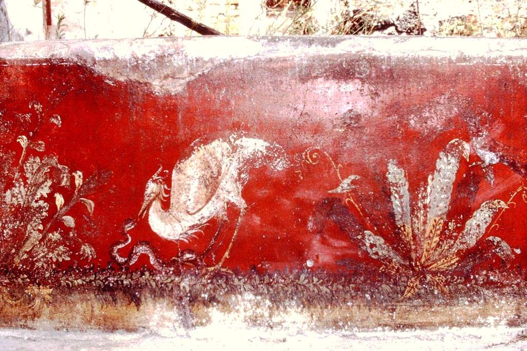 VI.7.18 Pompeii. Paintings of two panels from the short north wall on the east end of the portico. 
DAIR 83.69. Photo © Deutsches Archäologisches Institut, Abteilung Rom, Arkiv. 

