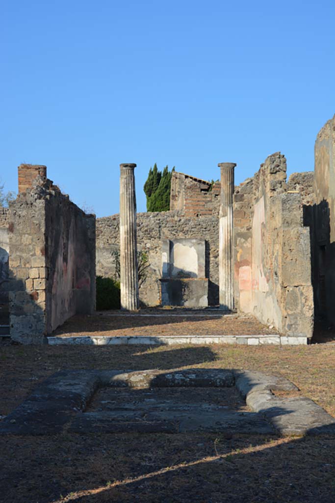 VI.7.20 Pompeii. September 2019. Looking west across impluvium in atrium.
Foto Annette Haug, ERC Grant 681269 DÉCOR.

