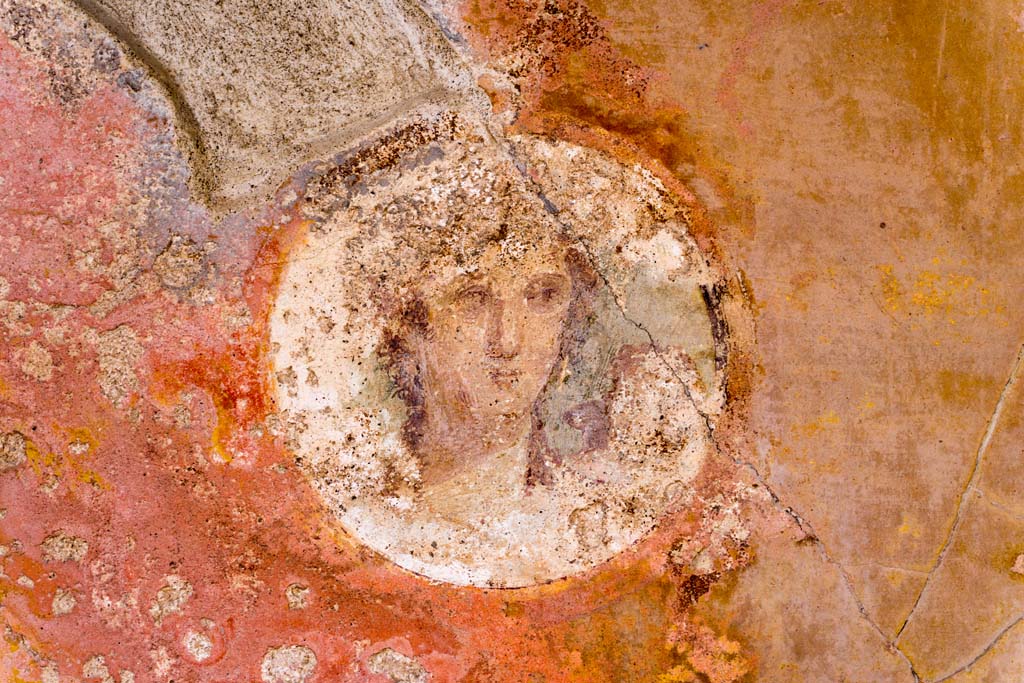 VI.7.23 Pompeii. December 2006. Detail of face in medallion on east end of south wall of tablinum.  
