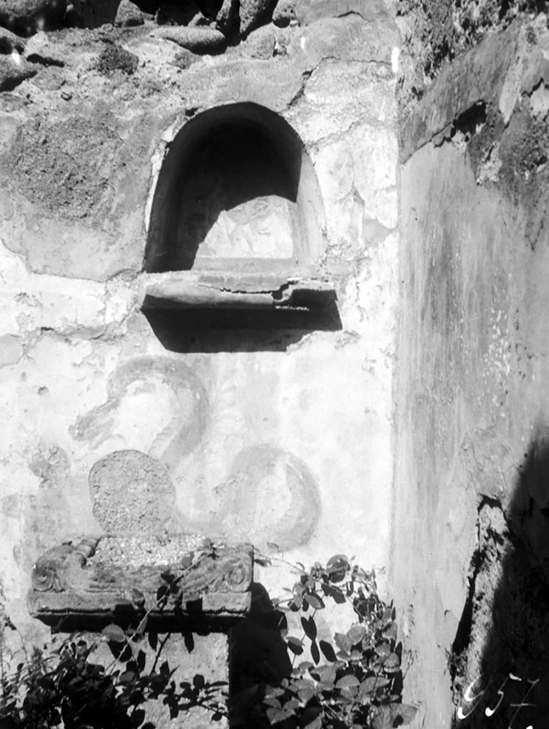 VI.7.23 Pompeii. W.1176. Kitchen, north wall with niche and painting of serpent.
Photo by Tatiana Warscher. Photo © Deutsches Archäologisches Institut, Abteilung Rom, Arkiv.
