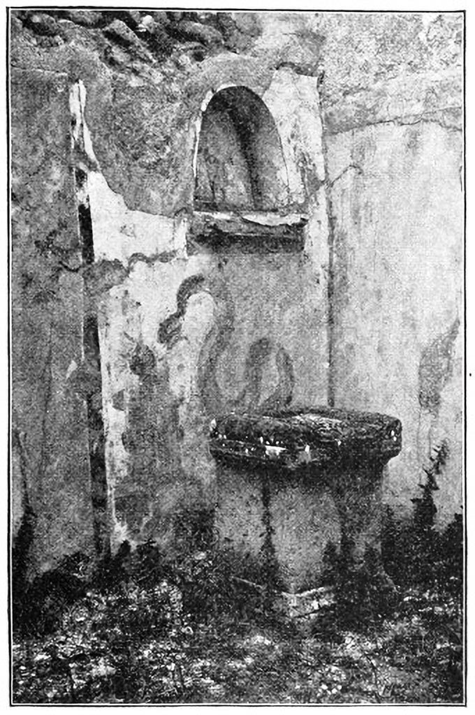 231367 Bestand-D-DAI-ROM-W.1176.jpg
VI.7.23 Pompeii. W.1176. Kitchen, north wall with niche and painting of serpent.
Photo by Tatiana Warscher. Photo © Deutsches Archäologisches Institut, Abteilung Rom, Arkiv. See http://arachne.uni-koeln.de/item/marbilderbestand/231367 

