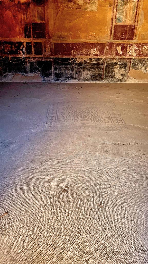 VI.8.3/5 Pompeii. October 2024.
Room 12, central emblema in floor and detail of zoccolo on east wall of dining room. 
Photo courtesy of Giuseppe Ciaramella.

