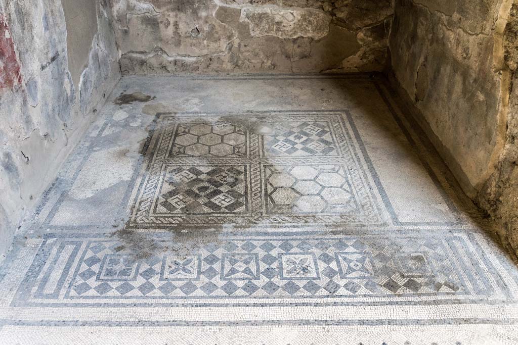 VI.8.5 Pompeii. March 2009. Room 1, atrium. Mosaic floor.