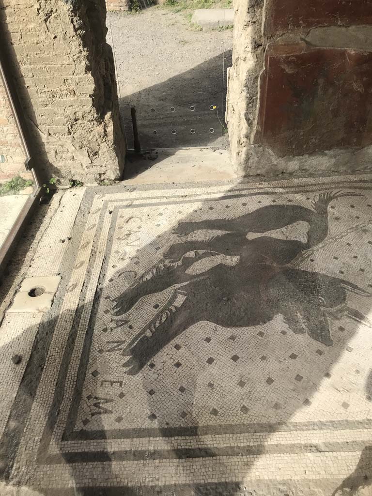 VI.8.5, Pompeii. April 2019. Looking north through entrance towards watchdog (Cave Canem mosaic). 
Photo courtesy of Rick Bauer.
