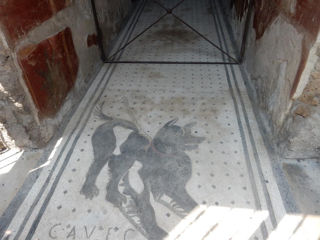 VI.8.5 Pompeii. May 2015. Cave Canem mosaic. Photo courtesy of Buzz Ferebee.
