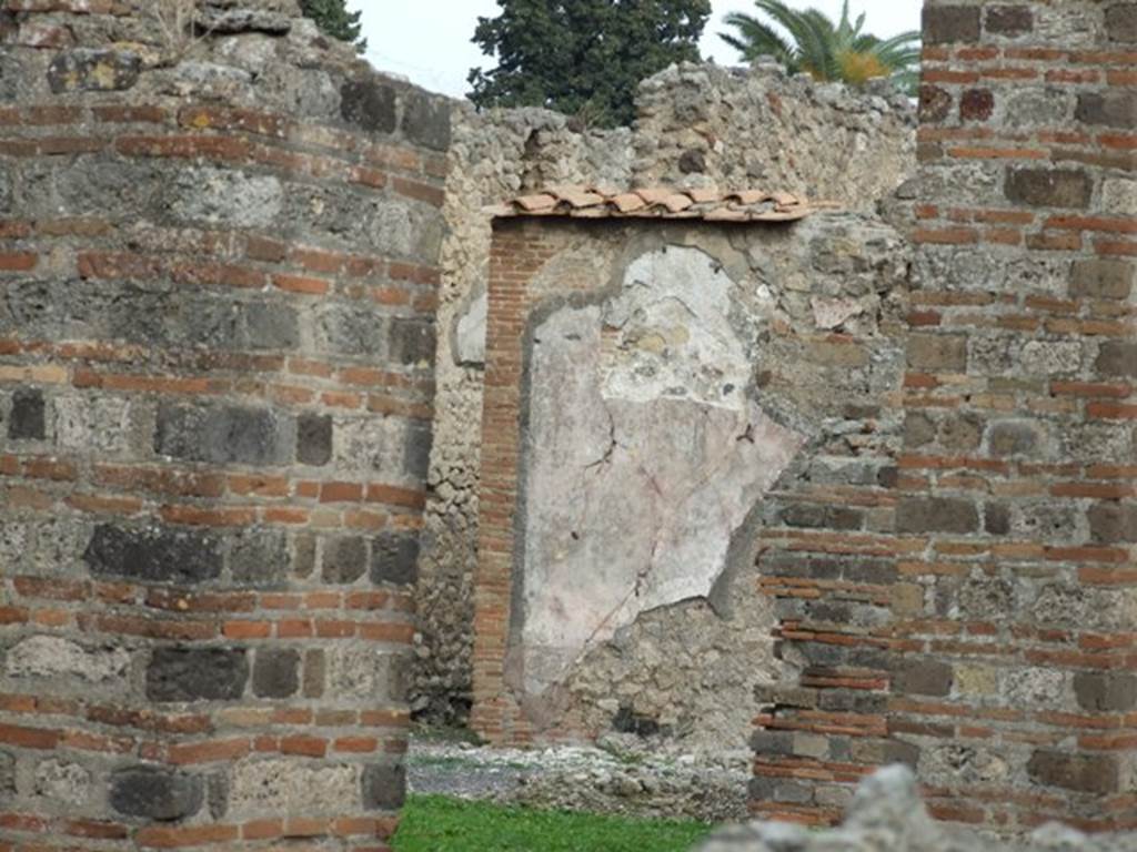 VI.8.20 Pompeii.  December 2007.  Remains of painted plaster on east wall of peristyle.