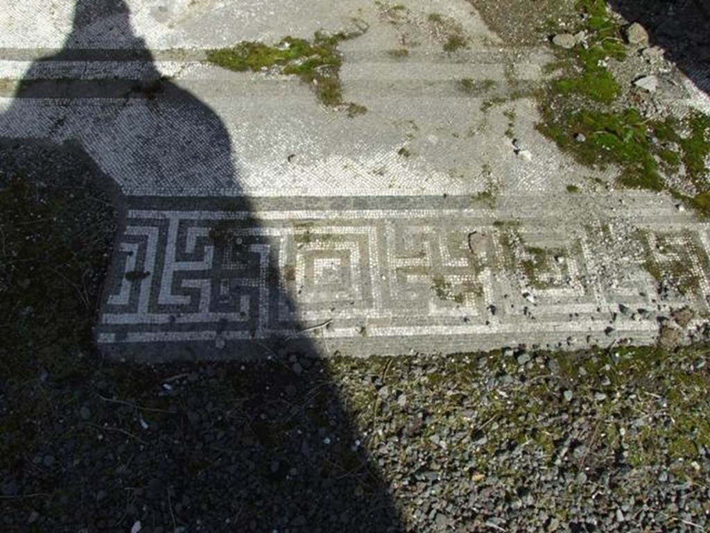 VI.8.20 Pompeii.  March 2009.  Room 6.   Detail of mosaic floor.
