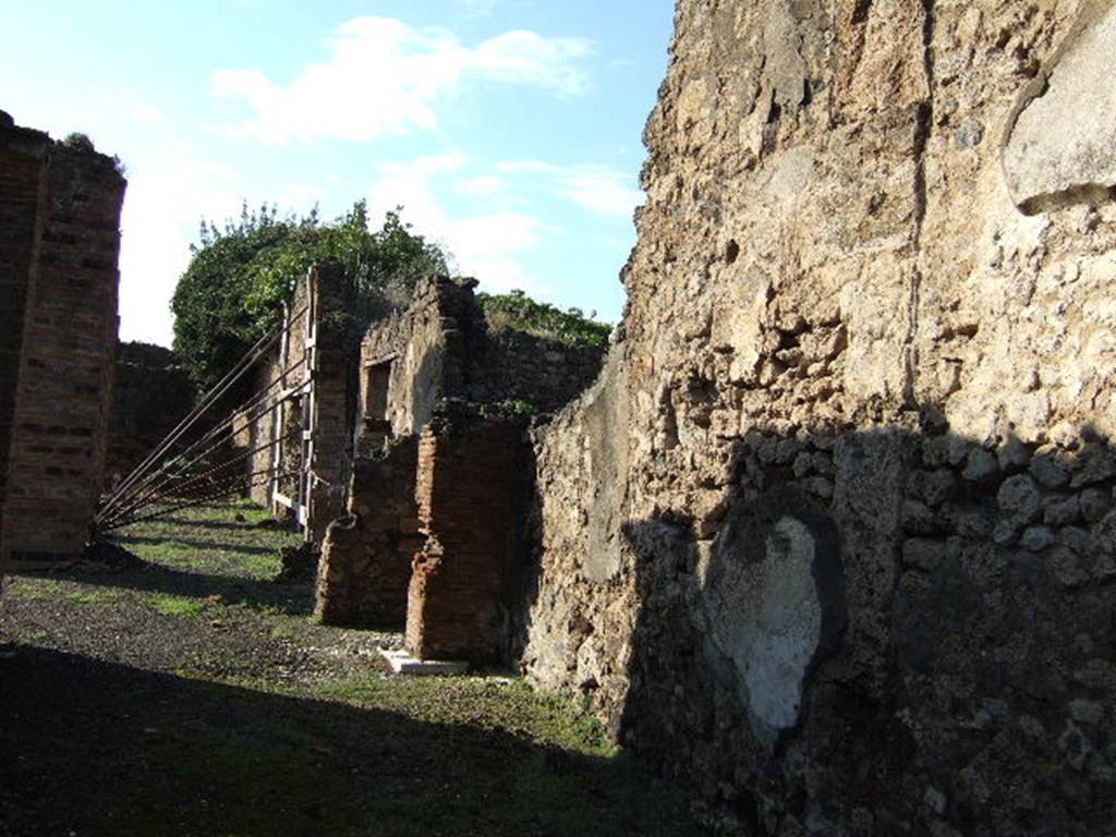 VI.8.20 Pompeii. March 2009. Room 1.  North wall of entrance corridor.  