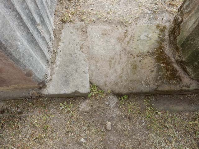 VI.8.22 Pompeii. May 2017. Detail of paving in portico/garden area. Photo courtesy of Buzz Ferebee.