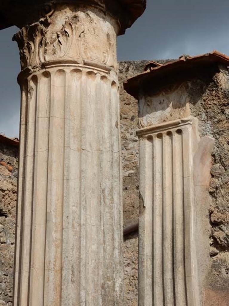 VI.8.22 Pompeii. May 2017. Room 6, column and pilaster. Photo courtesy of Buzz Ferebee.
According to Jashemski, there was a portico supported by three columns at the south end.  See Jashemski, W. F., 1993. The Gardens of Pompeii, Volume II: Appendices. New York: Caratzas, (p.135).

