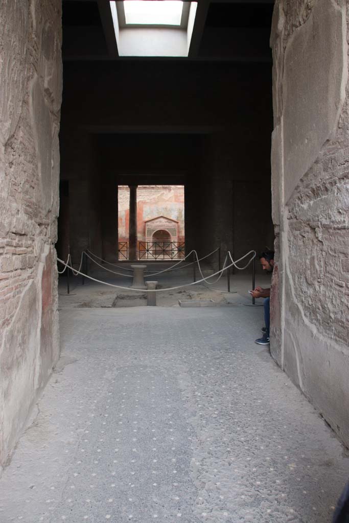 VI.8.23 Pompeii. May 2017.  Flooring in entrance corridor extending into the atrium was lavapesta with regular rows of white tesserae.  Photo courtesy of Buzz Ferebee.
