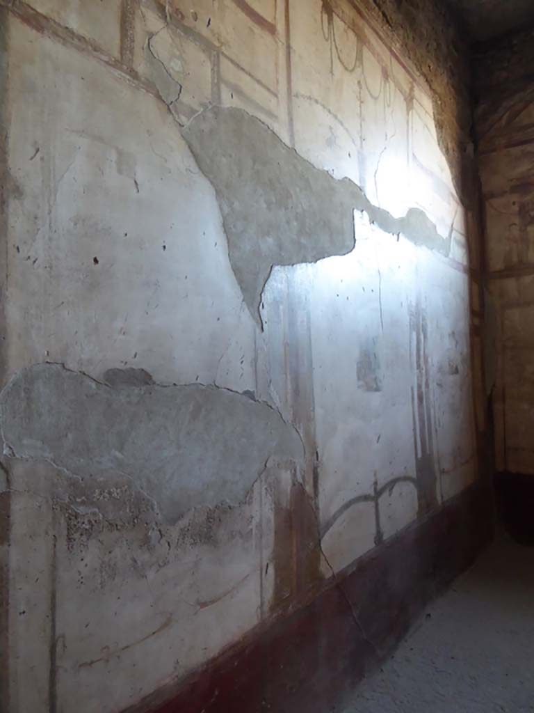 VI.8.23 Pompeii. May 2017. South wall of room on north side of entrance corridor. 
Photo courtesy of Buzz Ferebee.
